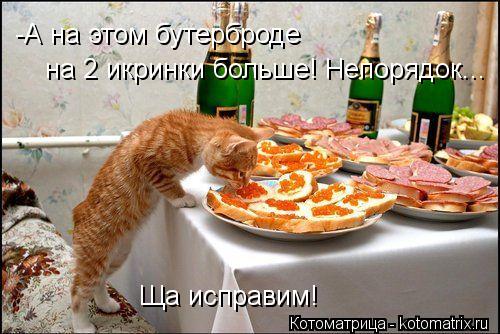 -А на этом бутерброде на 2 икринки больше! Непорядок... Ща исправим!... Котоматрица: -А на этом бутерброде на 2 икринки больше! Непорядок... Ща исправим!