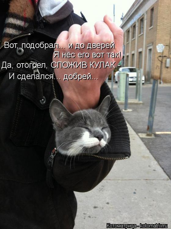 Вот, подобрал... и до дверей Да, отогрел, СЛОЖИВ КУЛАК - И сделался... добрей... Я нёс его вот так!... Котоматрица: Вот, подобрал... и до дверей Да, отогрел, СЛОЖИВ КУЛАК - И сделался... добрей... Я нёс его вот так!