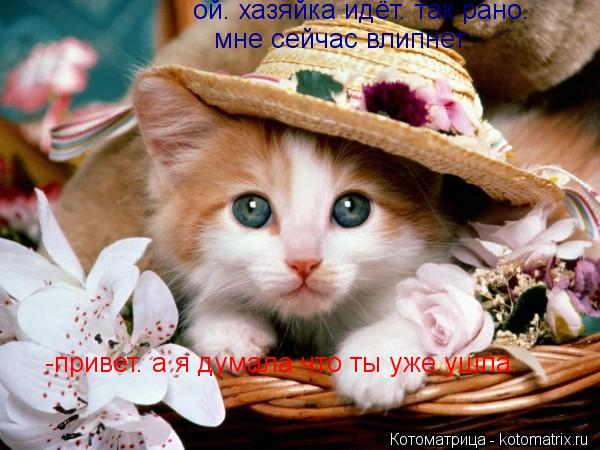 Котоматрица: -привет. а я думала что ты уже ушла. ой. хазяйка идёт. так рано.  мне сейчас влипнет