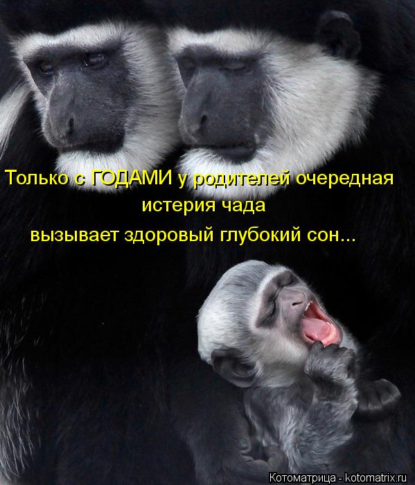 Только с ГОДАМИ у родителей очередная истерия чада вызывает здоровый глубокий сон...... Котоматрица: Только с ГОДАМИ у родителей очередная истерия чада вызывает здоровый глубокий сон...