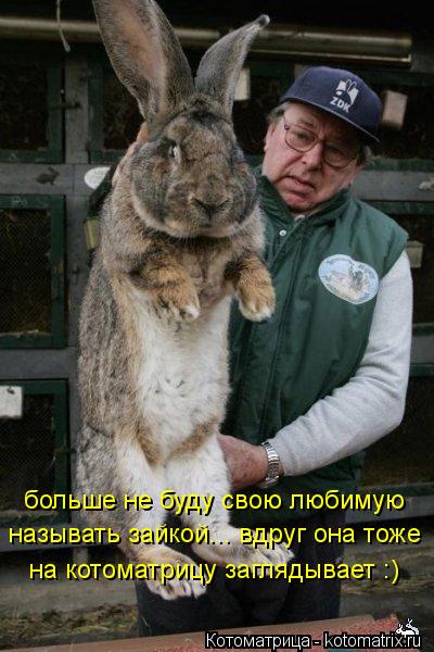больше не буду свою любимую называть зайкой... вдруг она тоже на котоматрицу заглядывает :)... Котоматрица: больше не буду свою любимую называть зайкой... вдруг она тоже на котоматрицу заглядывает :)