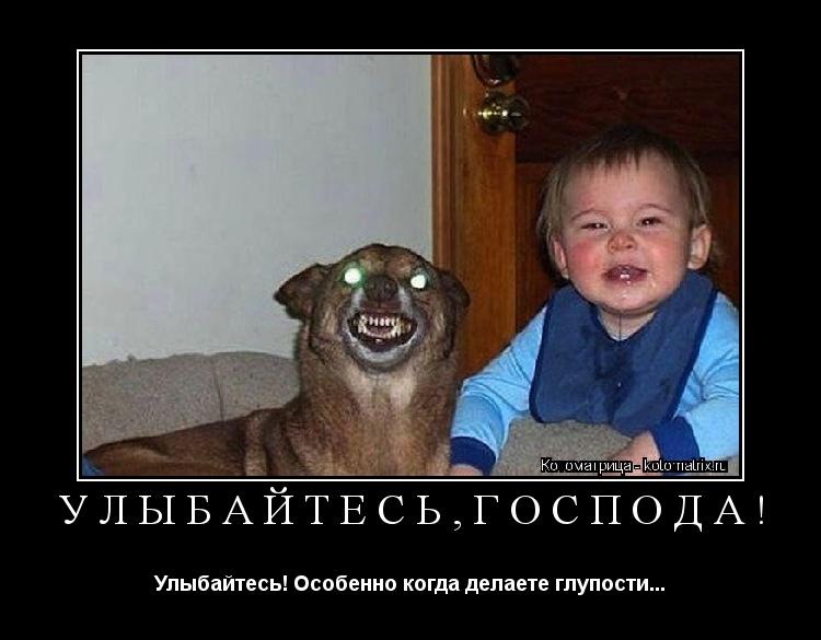 УЛЫБАЙТЕСЬ,ГОСПОДА! Улыбайтесь! Особенно когда делаете глупости...... Котоматрица: УЛЫБАЙТЕСЬ,ГОСПОДА! Улыбайтесь! Особенно когда делаете глупости...