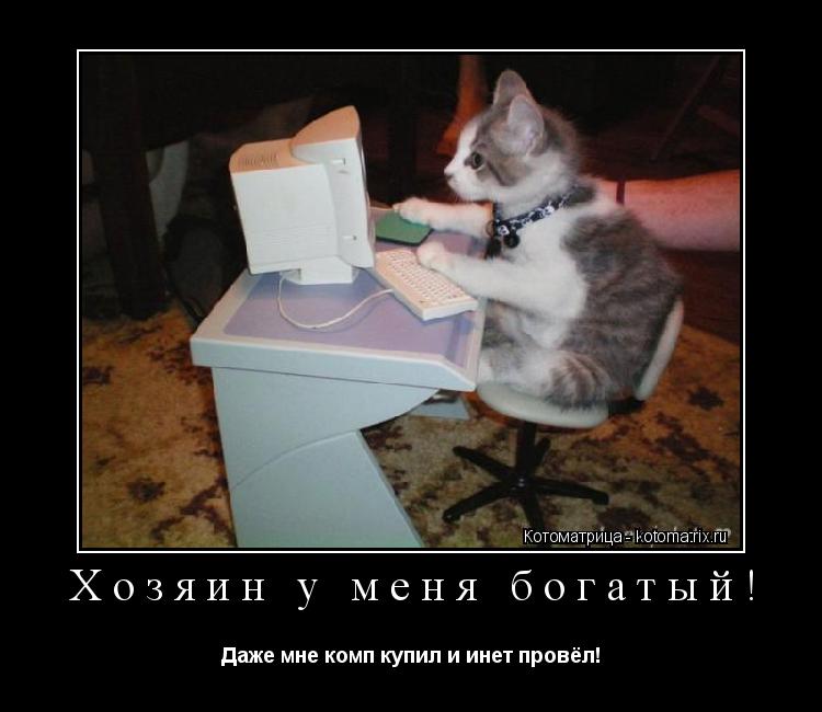 Хозяин у меня богатый! Даже мне комп купил и инет провёл!... Котоматрица: Хозяин у меня богатый! Даже мне комп купил и инет провёл!