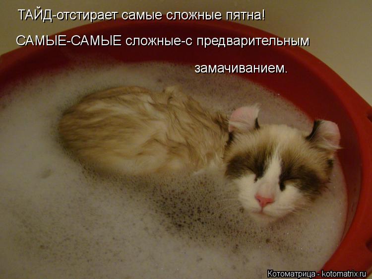 ТАЙД-отстирает самые сложные пятна! САМЫЕ-САМЫЕ сложные-с предварительным замачиванием.... Котоматрица: ТАЙД-отстирает самые сложные пятна! САМЫЕ-САМЫЕ сложные-с предварительным замачиванием.
