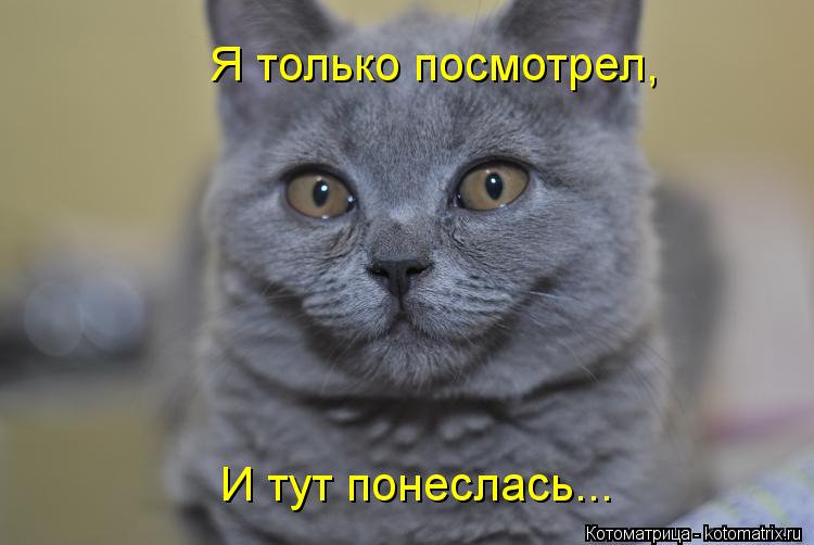 Я только посмотрел, И тут понеслась...... Котоматрица: Я только посмотрел, И тут понеслась...