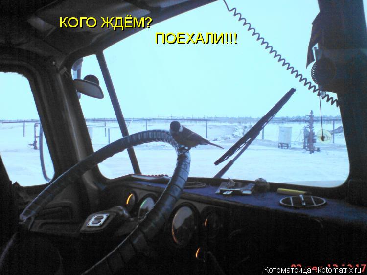 КОГО ЖДЁМ? ПОЕХАЛИ!!!... Котоматрица: КОГО ЖДЁМ? ПОЕХАЛИ!!!
