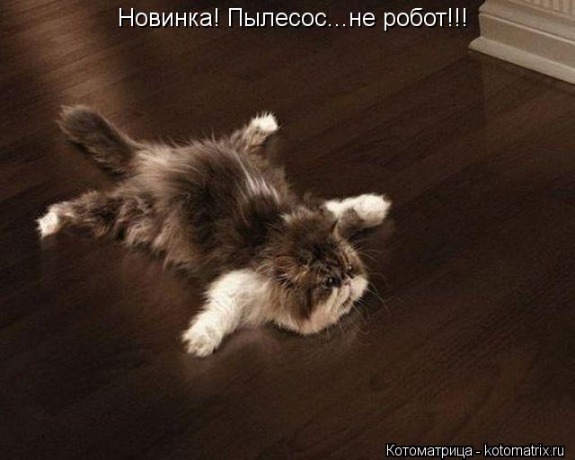 Новинка! Пылесос...не робот!!!... Котоматрица: Новинка! Пылесос...не робот!!!