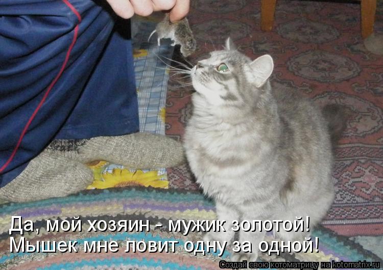 Мышек мне ловит одну за одной! Да, мой хозяин - мужик золотой!... Котоматрица: Мышек мне ловит одну за одной! Да, мой хозяин - мужик золотой!