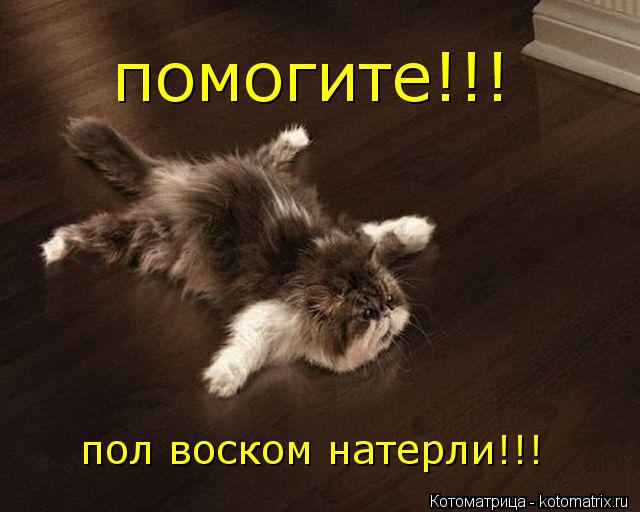 пол воском натерли!!! помогите!!!... Котоматрица: пол воском натерли!!! помогите!!!