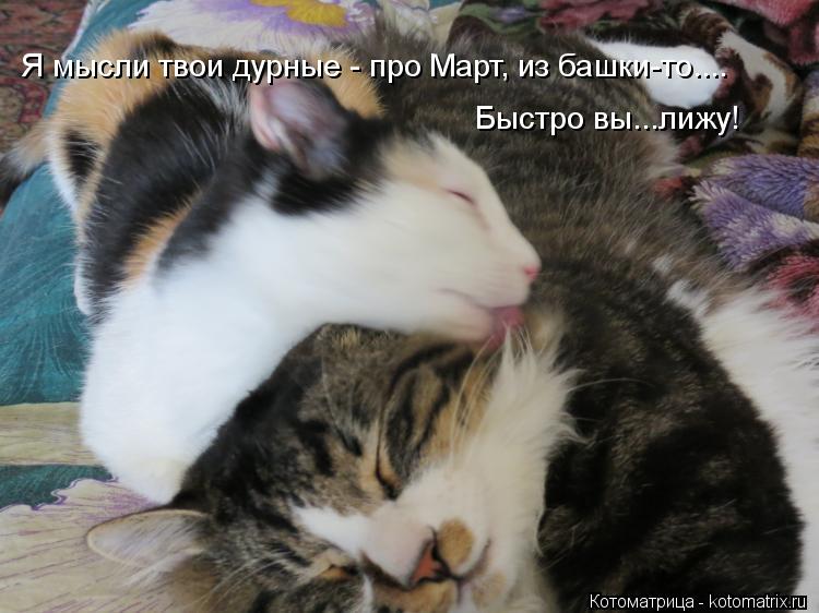 Котоматрица: Я мысли твои дурные - про Март, из башки-то.... Быстро вы...лижу!