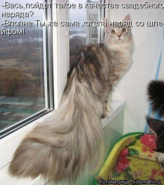 -Вась,пойдёт такое в качестве свадебного наряда? -Вполне.Ты же сама хотела наряд со шле- йфом!... Котоматрица: -Вась,пойдёт такое в качестве свадебного наряда? -Вполне.Ты же сама хотела наряд со шле- йфом!