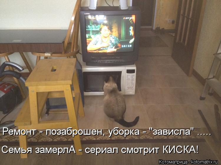 Котоматрица: Ремонт - позаброшен, уборка - "зависла" ..... Семья замерлА - сериал смотрит КИСКА!