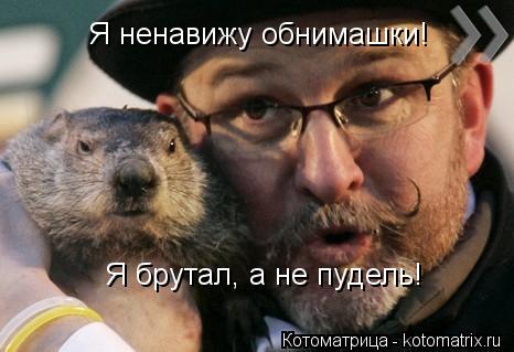 Котоматрица: Я ненавижу обнимашки! Я брутал, а не пудель!
