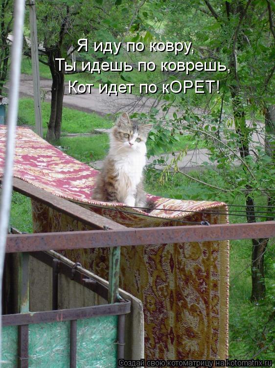 Я иду по ковру, Ты идешь по коврешь, Кот идет по кОРЕТ!... Котоматрица: Я иду по ковру, Ты идешь по коврешь, Кот идет по кОРЕТ!