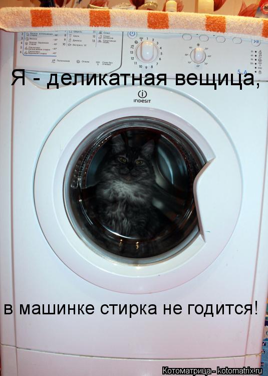 Я - деликатная вещица, в машинке стирка не годится!... Котоматрица: Я - деликатная вещица, в машинке стирка не годится!