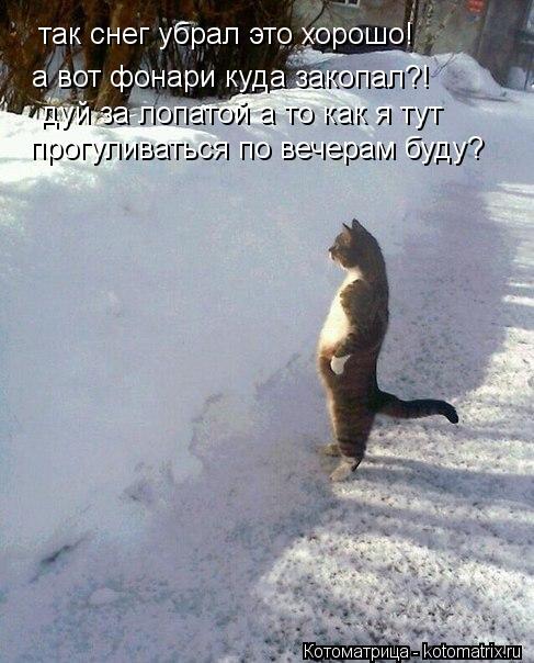 так снег убрал это хорошо! а вот фонари куда закопал?! дуй за лопатой а то как я тут прогуливаться п... Котоматрица: так снег убрал это хорошо! а вот фонари куда закопал?! дуй за лопатой а то как я тут прогуливаться по вечерам буду?