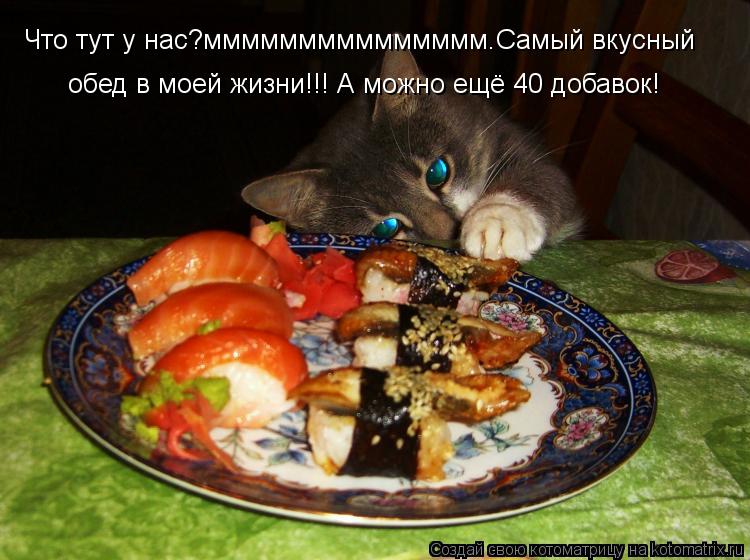 Котоматрица: Что тут у нас?ммммммммммммммм.Самый вкусный обед в моей жизни!!! А можно ещё 40 добавок!