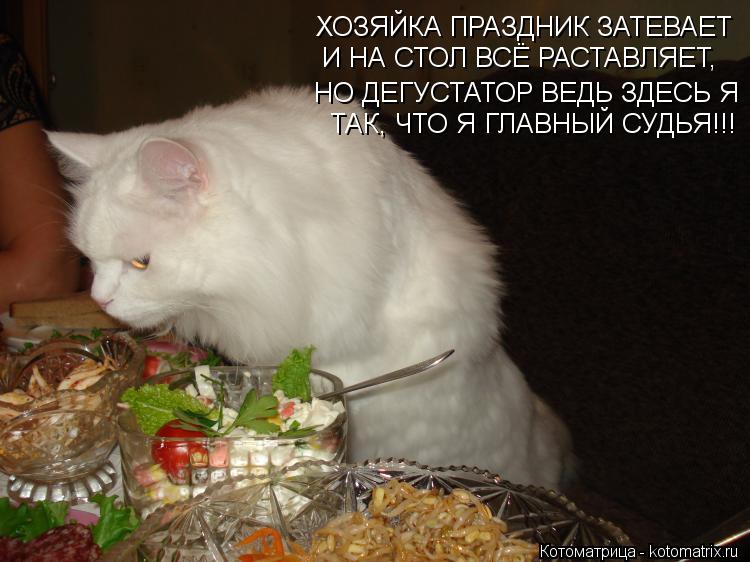 ХОЗЯЙКА ПРАЗДНИК ЗАТЕВАЕТ НО ДЕГУСТАТОР ВЕДЬ ЗДЕСЬ Я И НА СТОЛ ВСЁ РАСТАВЛЯЕТ, ТАК, ЧТО Я ГЛАВНЫЙ СУ... Котоматрица: ХОЗЯЙКА ПРАЗДНИК ЗАТЕВАЕТ НО ДЕГУСТАТОР ВЕДЬ ЗДЕСЬ Я И НА СТОЛ ВСЁ РАСТАВЛЯЕТ, ТАК, ЧТО Я ГЛАВНЫЙ СУДЬЯ!!!