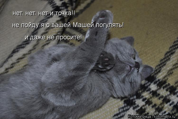 нет. нет. нет и точка!! не пойду я с вашей Машей погулять! и даже не просите!... Котоматрица: нет. нет. нет и точка!! не пойду я с вашей Машей погулять! и даже не просите!