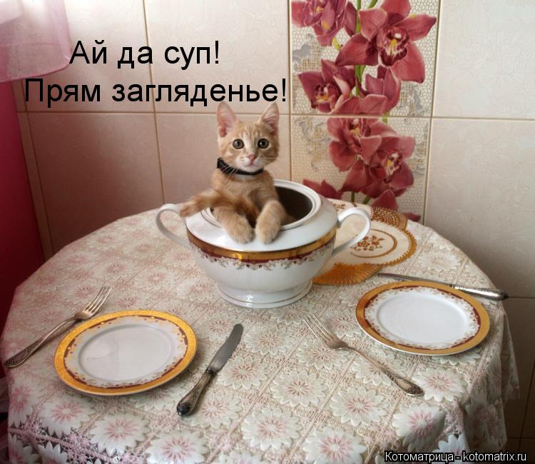 Прям загляденье! Ай да суп!... Котоматрица: Прям загляденье! Ай да суп!