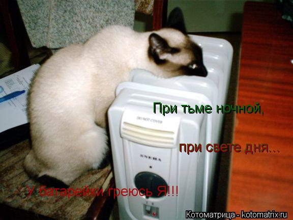 При тьме ночной, при свете дня... при свете дня... У батарейки греюсь Я!!!... Котоматрица: При тьме ночной, при свете дня... при свете дня... У батарейки греюсь Я!!!