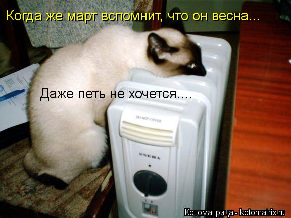 Котоматрица: Когда же март вспомнит, что он весна... Даже петь не хочется....