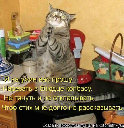Чтоб стих мне долго не рассказывать. -Я на ужин вас прошу Нарезать в блюдце колбасу. Не тянуть и не о... Котоматрица: Чтоб стих мне долго не рассказывать. -Я на ужин вас прошу Нарезать в блюдце колбасу. Не тянуть и не откладывать.