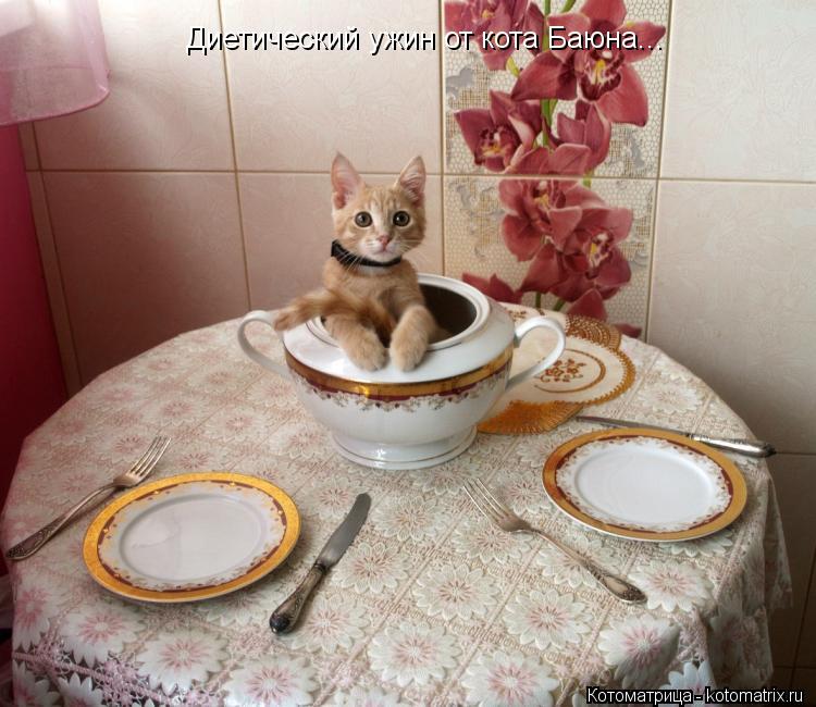 Диетический ужин от кота Баюна...... Котоматрица: Диетический ужин от кота Баюна...