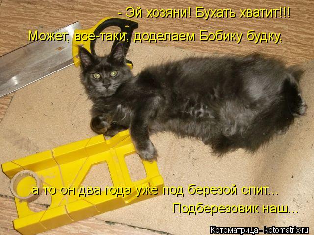 - Эй хозяни! Бухать хватит!!! Может, все-таки, доделаем Бобику будку, а то он два года уже под березо... Котоматрица: - Эй хозяни! Бухать хватит!!! Может, все-таки, доделаем Бобику будку, а то он два года уже под березой спит... Подберезовик наш...
