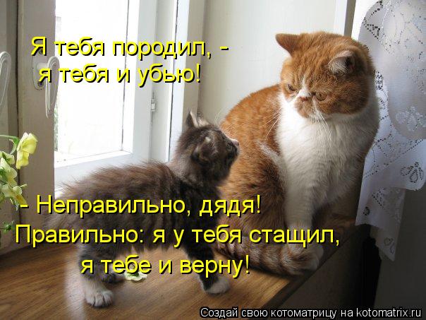 Я тебя породил, - я тебя и убью! - Неправильно, дядя! Правильно: я у тебя стащил, я тебе и верну!... Котоматрица: Я тебя породил, - я тебя и убью! - Неправильно, дядя! Правильно: я у тебя стащил, я тебе и верну!