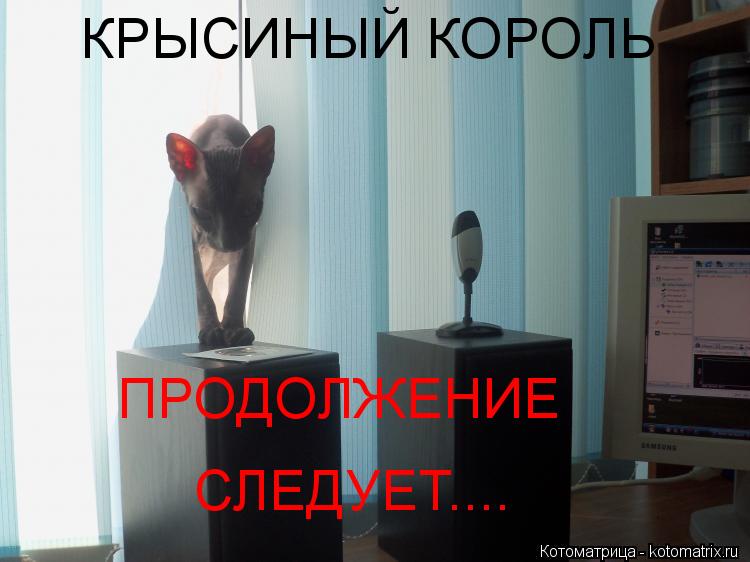 КРЫСИНЫЙ КОРОЛЬ ПРОДОЛЖЕНИЕ СЛЕДУЕТ....... Котоматрица: КРЫСИНЫЙ КОРОЛЬ ПРОДОЛЖЕНИЕ СЛЕДУЕТ....