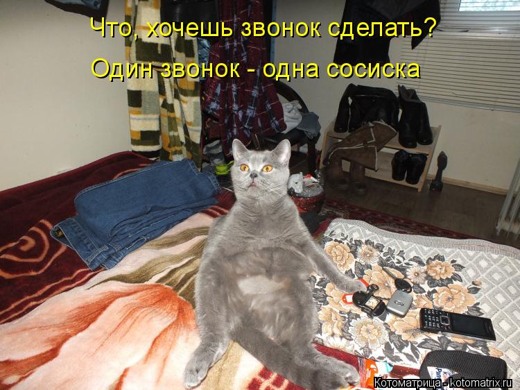 Что, хочешь звонок сделать? Один звонок - одна сосиска... Котоматрица: Что, хочешь звонок сделать? Один звонок - одна сосиска
