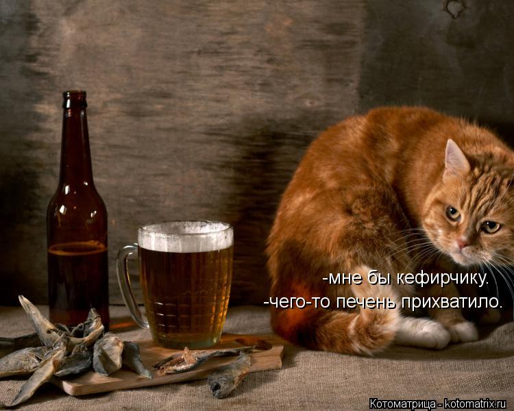 -мне бы кефирчику. -чего-то печень прихватило.... Котоматрица: -мне бы кефирчику. -чего-то печень прихватило.