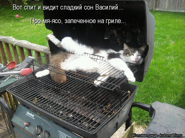 Про мя-ясо, запеченное на гриле... Вот спит и видит сладкий сон Василий...... Котоматрица: Про мя-ясо, запеченное на гриле... Вот спит и видит сладкий сон Василий...