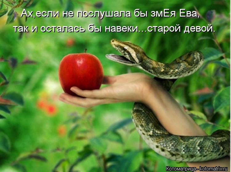 Котоматрица: Ах,если не послушала бы змЕя Ева, так и осталась бы навеки...старой девой.