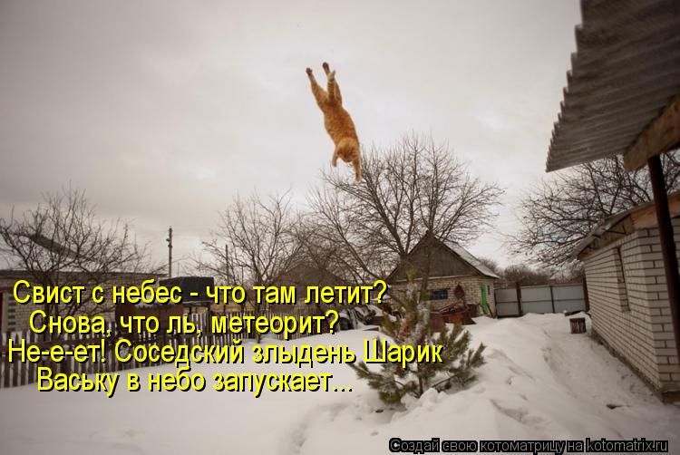 Свист с небес - что там летит? Снова, что ль, метеорит? Не-е-ет! Соседский злыдень Шарик Ваську в не... Котоматрица: Свист с небес - что там летит? Снова, что ль, метеорит? Не-е-ет! Соседский злыдень Шарик Ваську в небо запускает...