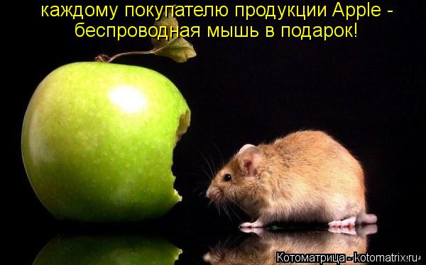 Котоматрица: каждому покупателю продукции Apple -  беспроводная мышь в подарок!