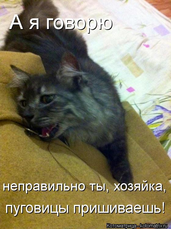 А я говорю пуговицы пришиваешь! неправильно ты, хозяйка,... Котоматрица: А я говорю пуговицы пришиваешь! неправильно ты, хозяйка,