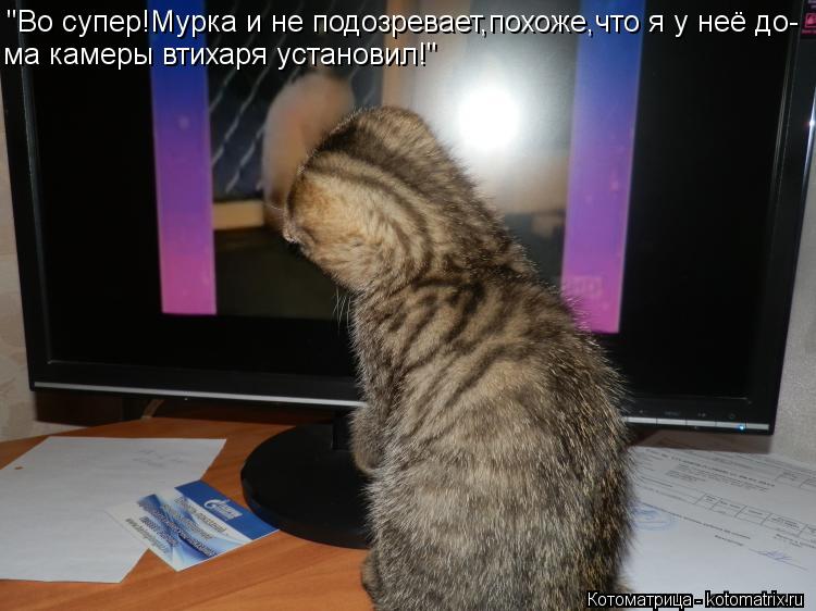 "Во супер!Мурка и не подозревает,похоже,что я у неё до- ма камеры втихаря установил!"... Котоматрица: "Во супер!Мурка и не подозревает,похоже,что я у неё до- ма камеры втихаря установил!"
