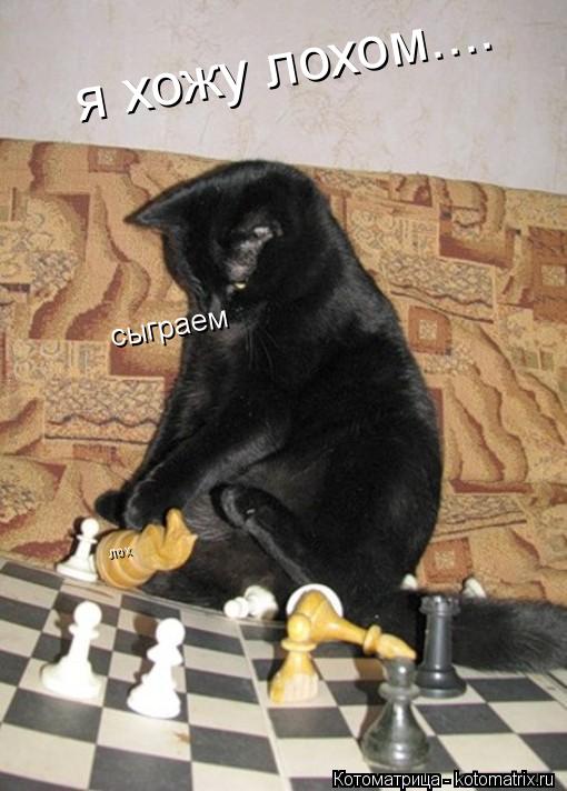 сыграем лох я хожу лохом....... Котоматрица: сыграем лох я хожу лохом....