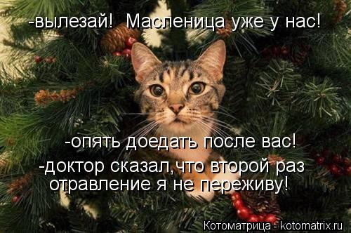 -вылезай! Масленица уже у нас! -опять доедать после вас! -доктор сказал,что второй раз отравление я... Котоматрица: -вылезай! Масленица уже у нас! -опять доедать после вас! -доктор сказал,что второй раз отравление я не переживу!