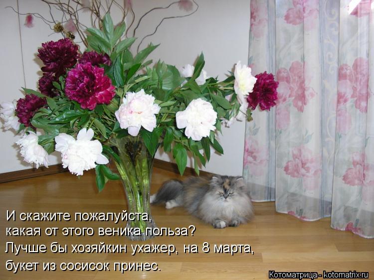 И скажите пожалуйста, какая от этого веника польза? Лучше бы хозяйкин ухажер, на 8 марта, букет из со... Котоматрица: И скажите пожалуйста, какая от этого веника польза? Лучше бы хозяйкин ухажер, на 8 марта, букет из сосисок принес.