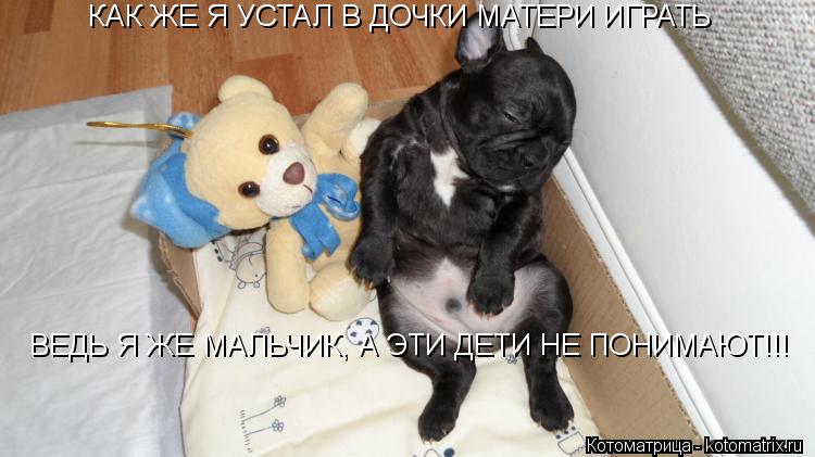 КАК ЖЕ Я УСТАЛ В ДОЧКИ МАТЕРИ ИГРАТЬ ВЕДЬ Я ЖЕ МАЛЬЧИК, А ЭТИ ДЕТИ НЕ ПОНИМАЮТ!!!... Котоматрица: КАК ЖЕ Я УСТАЛ В ДОЧКИ МАТЕРИ ИГРАТЬ ВЕДЬ Я ЖЕ МАЛЬЧИК, А ЭТИ ДЕТИ НЕ ПОНИМАЮТ!!!