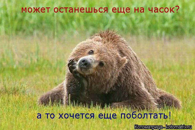 может останешься еще на часок? а то хочется еще поболтать!... Котоматрица: может останешься еще на часок? а то хочется еще поболтать!