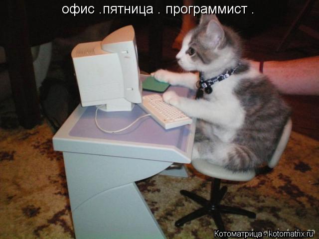 офис .пятница . программист .... Котоматрица: офис .пятница . программист .