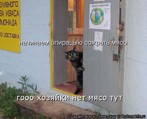 начинаем опирацыю сожрать мясо гооо хозяйки нет мясо тут... Котоматрица: начинаем опирацыю сожрать мясо гооо хозяйки нет мясо тут