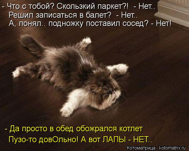 Котоматрица: - Что с тобой? Скользкий паркет?!  - Нет.. Решил записаться в балет?  - Нет.. А, понял.. подножку поставил сосед? - Нет! - Да просто в обед обожрался к