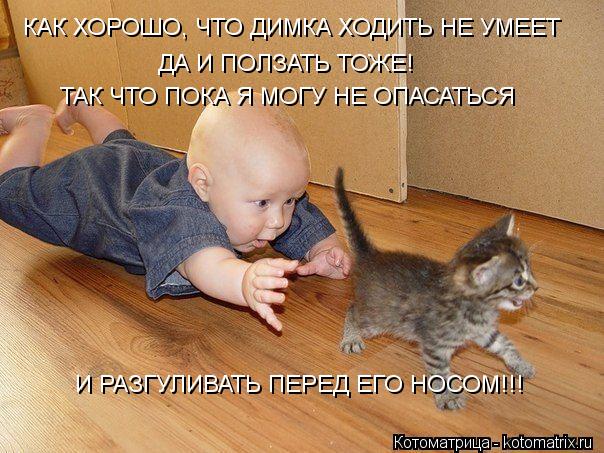 КАК ХОРОШО, ЧТО ДИМКА ХОДИТЬ НЕ УМЕЕТ ДА И ПОЛЗАТЬ ТОЖЕ! ТАК ЧТО ПОКА Я МОГУ НЕ ОПАСАТЬСЯ И РАЗГУЛИВА... Котоматрица: КАК ХОРОШО, ЧТО ДИМКА ХОДИТЬ НЕ УМЕЕТ ДА И ПОЛЗАТЬ ТОЖЕ! ТАК ЧТО ПОКА Я МОГУ НЕ ОПАСАТЬСЯ И РАЗГУЛИВАТЬ ПЕРЕД ЕГО НОСОМ!!!
