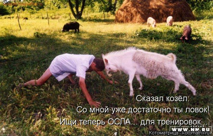 Сказал козёл: Сказал козёл: Со мной уже достаточно ты ловок! Ищи теперь ОСЛА... для тренировок....... Котоматрица: Сказал козёл: Сказал козёл: Со мной уже достаточно ты ловок! Ищи теперь ОСЛА... для тренировок....