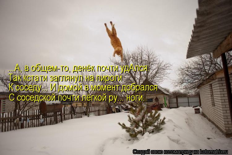 Котоматрица: ...А, в общем-то, денёк почти удАлся: Так кстати заглянул на пироги К соседу... И домой в момент добрался С соседской почти лёгкой ру... ноги.